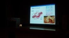 DSC_1293[1]