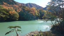 DSC_0245[1]