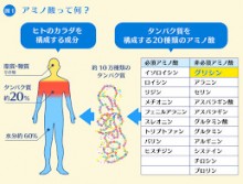 アミノ酸