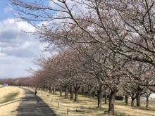 IMG_9682