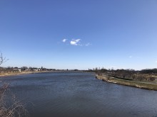 IMG_1116[1]