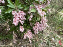IMG_0702[1]