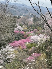 IMG_0716[1]