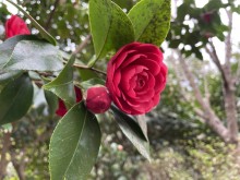 IMG_0731[1]