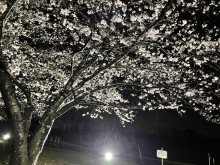 IMG_0733[1]